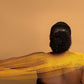 🔥Köp 1 få 1 gratis🔥 Exfolierande badsvamp