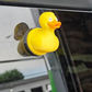 Die lustige Mittelfingerspritz-Ente