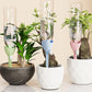 🥳Bästsäljare 2026🥳🌴💧 Automatisk droppbevattning för växter – ger kontinuerlig droppbevattning i över två veckor. Justerbart flöde; passar de flesta flaskor. Kom hem till välmående, livskraftiga växter! 🏠✨