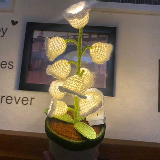 ✨ SISTA DAGENS ERBJUDANDE - 50% RABATT ✨ Lily Glow Virkad Lampa