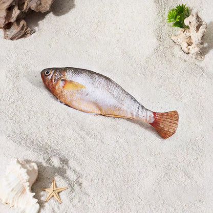 🔥KÖP MER SPARA MER🔥Realistisk hoppande fiskleksak för katter