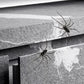 🧲 50% RABATT! 🕷️ Realistiska Spindelmagneter – Stark hållkraft, för Kylskåp, Dörrar & Dekoration 🚗