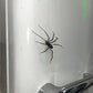 🧲 50% RABATT! 🕷️ Realistiska Spindelmagneter – Stark hållkraft, för Kylskåp, Dörrar & Dekoration 🚗