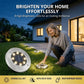 🌸Sista dagen! Köp 2 få 1 gratis🌟8 LED solcellslampor, lämpliga för trädgårdar utomhus