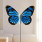 🦋 Storrea: 50 % rabatt!!Elektrisk sugkopp-kattleksak med roterande fjäril🏠