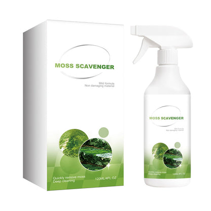 🔥🎁Nyhet 50 % RABATT🔥Spray för borttagning av mossa och alger utomhus